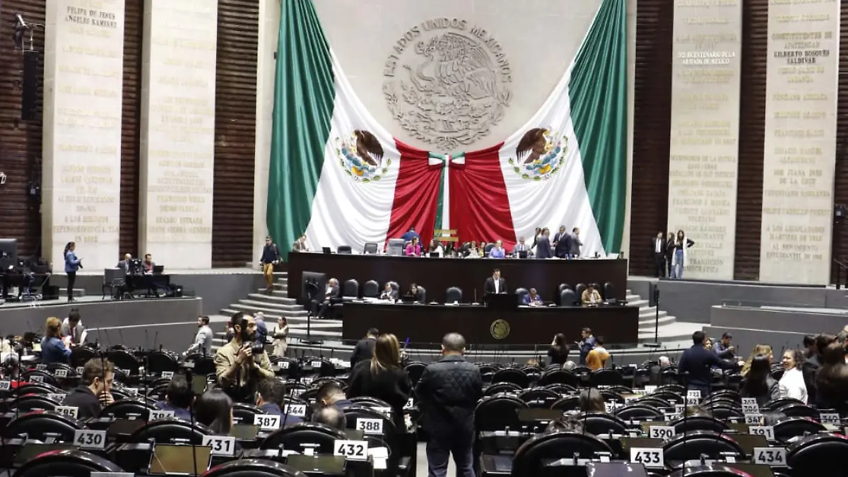 cámara de diputados